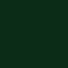 Green Floor Paint  5 LTR